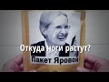 Закон Яровой. Откуда ноги растут? #3