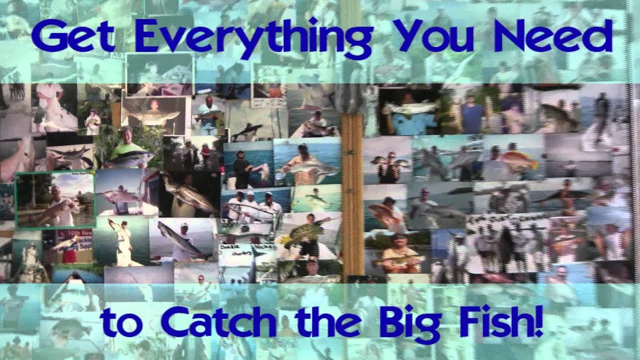 Live, Frozen, and Fresh Water Bait with Tackle, Rods, and Reels at