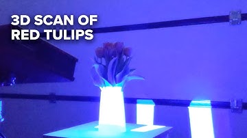 3D scan of red tulips using AESUB blue scanning spray - SPRAY | SCAN | DONE