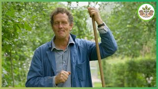Essential Autumn Gardening Tips - Repair Lawns, Prune Shrubs, Grow Giant Veg!
