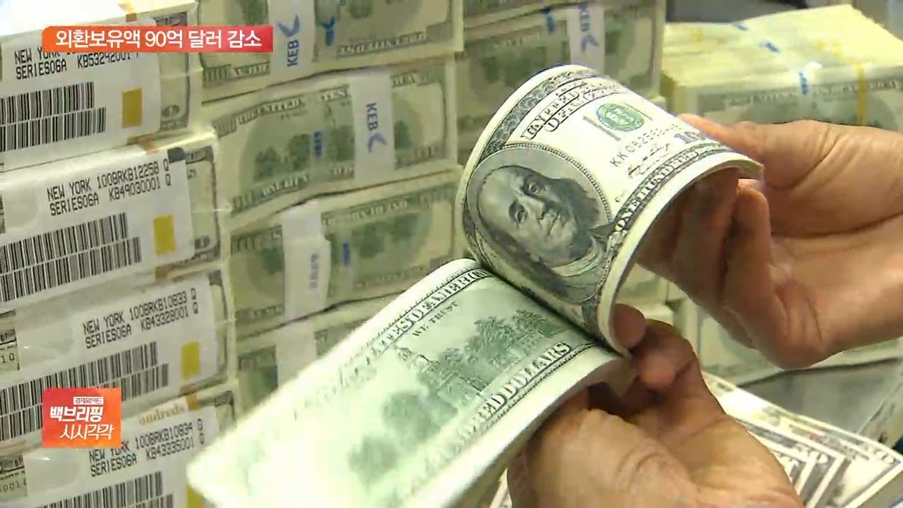 한국 외환보유고 New 지난달 외환보유액 90억 달러 감소…환율안정화 조치 영향
