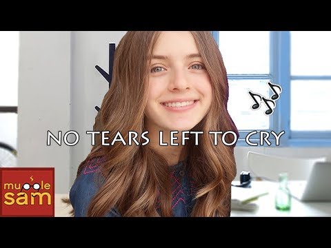 No Tears Left To Cry - Ariana Grande 🎵 Sophia Mugglesam