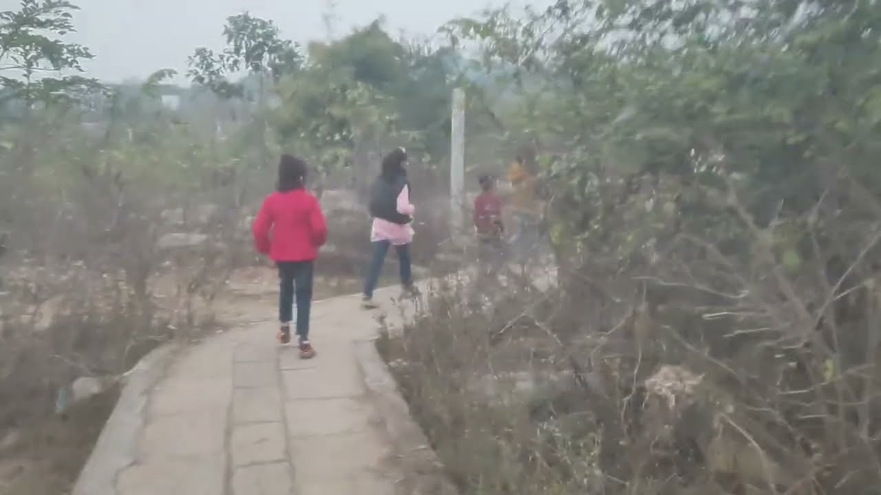 Mirjapur ka jungal 😱