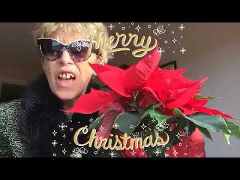funny-christmas-poem---kelita