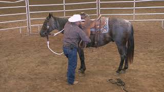 Colt Starting Principles (Part 2)