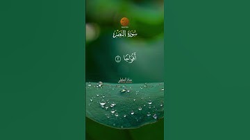 Muadh El Kholti - Surat An Nasr - سورة النصر | القارئ معاذ الخلطي | برواية ورش عن نافع  #quran