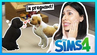 OUR DOG IS PREGNANT! PUPPIES ON THE WAY!  The Sims 4  My Life  Ep 13