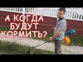 Печки лавочки приехали к друзьям на дачу. Поем песни под гитару которые знают все (кавер-версия)