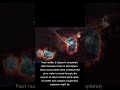 3 Crazy Facts You Didn't know