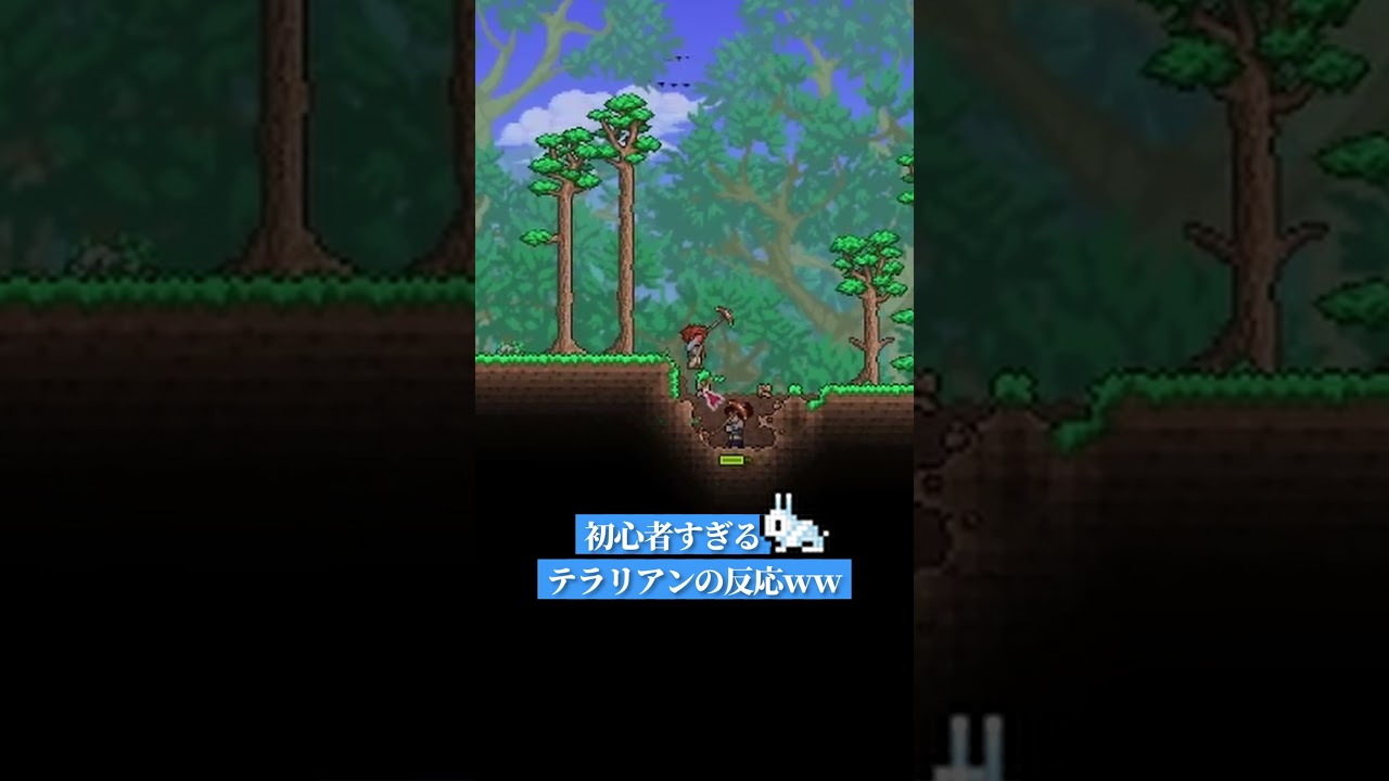 【同級生実況】初心者すぎるテラリアンの反応ｗｗｗ【テラリア Terraria】#Shorts