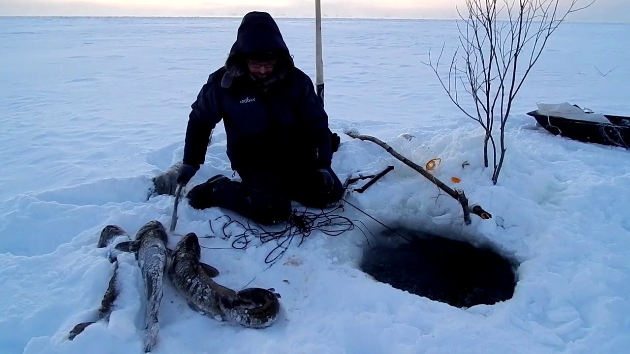 Рыбалка.Вторая проверка перемёта..Морозик!