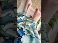 Respect#shorts Silk handmade flower
