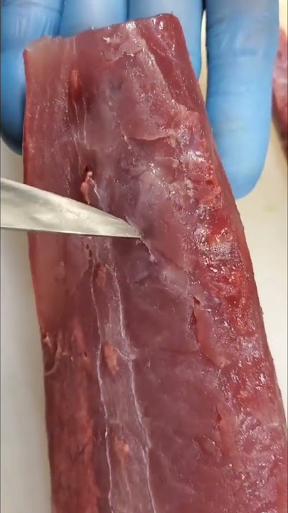 MasyaAllah! Cacing pita pada babi tak bisa mati #shorts