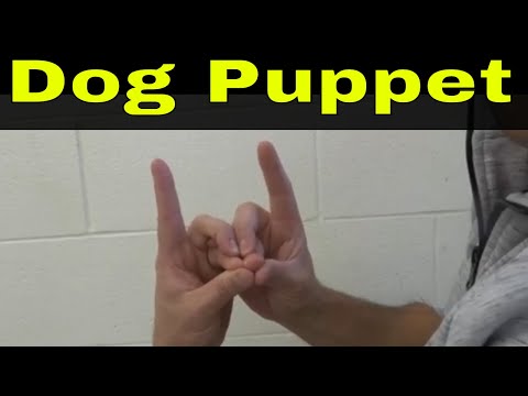 How To Make A Dog Puppet With Your Hands-Full Tutorial