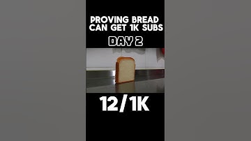 Proving Bread Can Get 1K Subs #memes #shortvideo #viral #fyp #shorts
