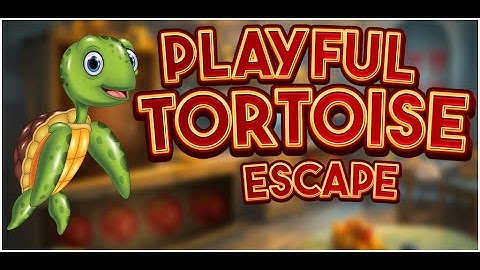 G4K Playful Tortoise Escape Game Walkthrough