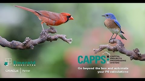 2022-10-05 - CAPPS Webinar - Make Primavera P6 Status Updates Easier and Faster