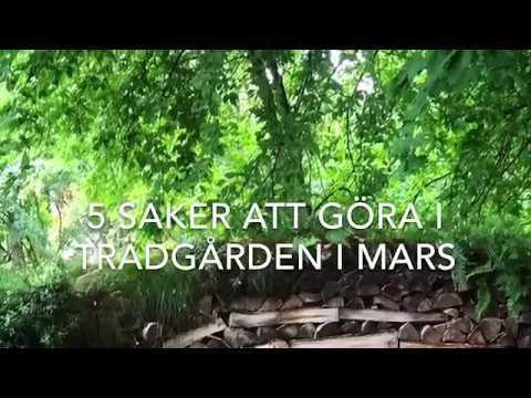 Video: Vad Ska En Trädgårdsmästare Komma Ihåg Att Göra I Mars? Säsongsbetonad Trädgårdsskötsel. Foto