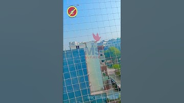 Pigeon netting services in Gurgaon