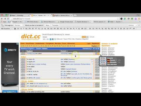 How to use Dict.cc and Dict.leo.org