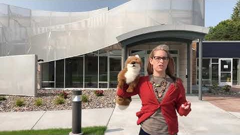 Library Field Trip in Cambridge