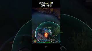 챌린저 소라카의 핵심 스킬 침묵 사용법!! ⛧