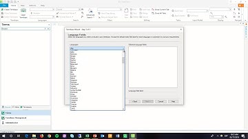 Excel Glossary Conversion with MultiTerm 2019 Convert