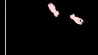 DragDrop.flv