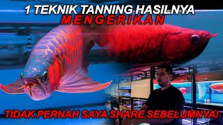 1 TEKNIK TANNING ARWANA ini Mungkin Jawaban Kamu Selama Ini! screenshot 5