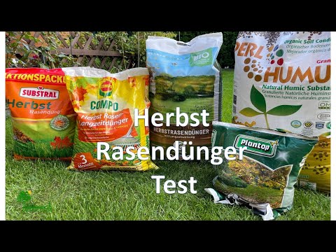 Video: Dünger Für Den Rasen: Anwendung Im Herbst, Frühjahr Und Sommer, Flüssiger Herbst Und Andere Dünger