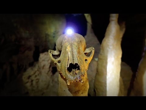 Thumbnail for We Dug Out An Underground Pit And Couldn't Believe What We Found!