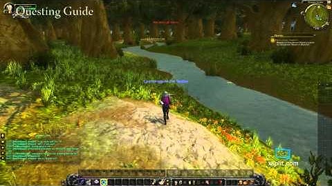 World Of Warcraft Hero