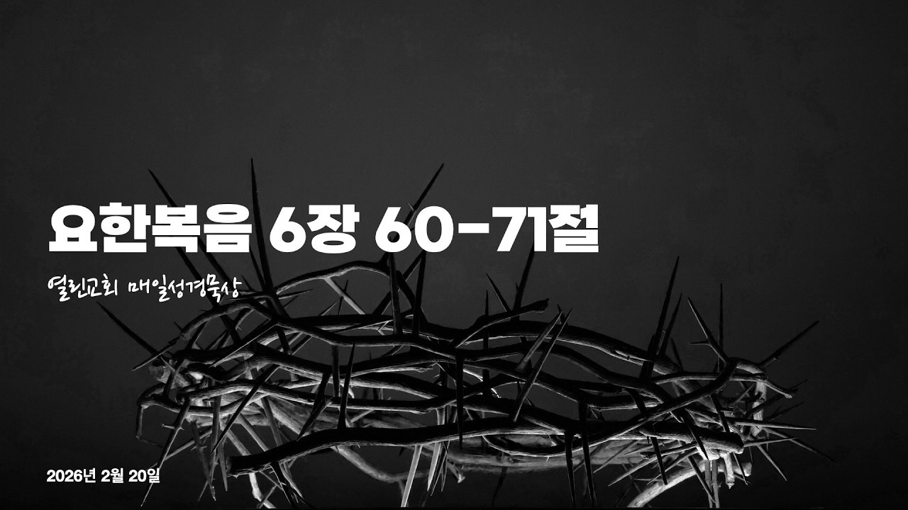 2026년 2월 20일