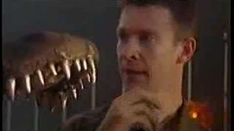 Big Gecko - Animal Face-Off excerpt (Alligator vs ...