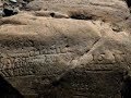 Breaking: “Hunger Stones” Reveal Hard Times Arrived The following video is brought to you courtesy of the Paul Begley YouTube Channel. Click the link below to watch it now!