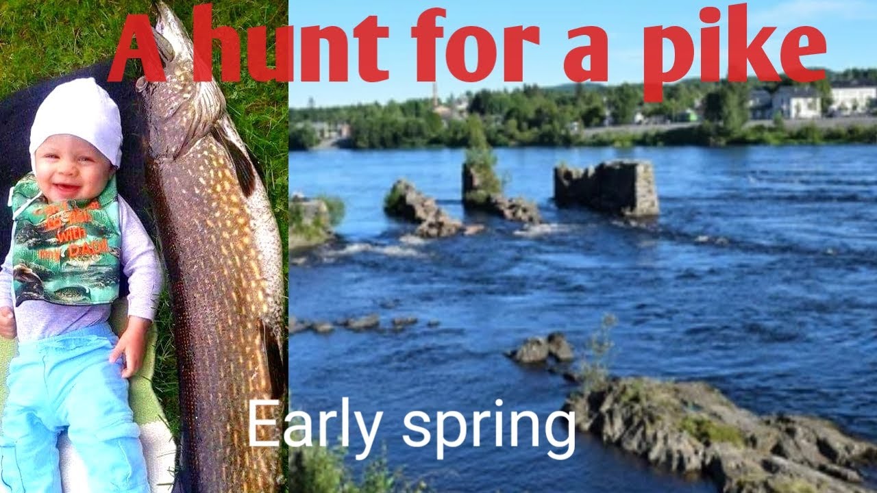 Glomma River in Kongsvinger Norway. Pike fishing Warm up. With Jaktia