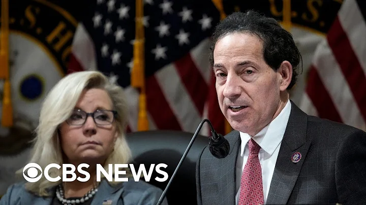 Raskin says Ginni Thomas, Gingrich and Pence shoul...