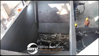 Soyu Shredding Sorting Line