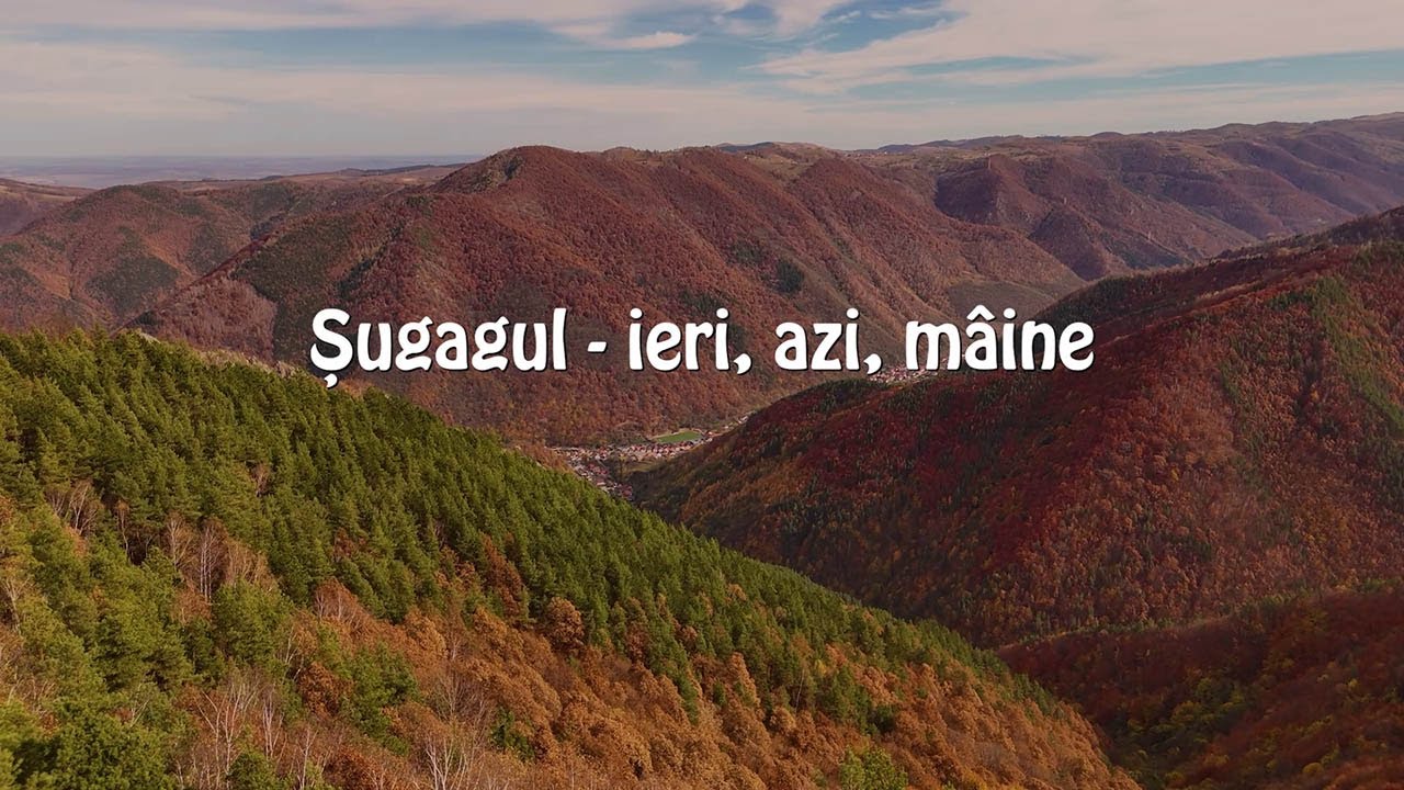 Șugagul - ieri, azi, mâine