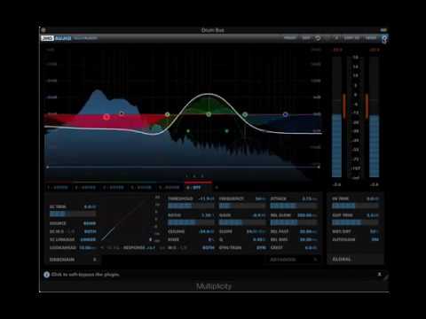 DMGAudio Multiplicity: Dynamics and Transients