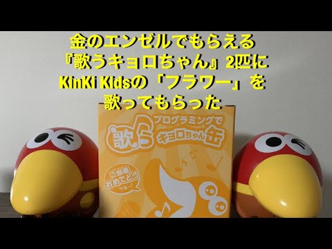 【歌うキョロちゃん缶】KinKi Kidsの「フラワー」をハモリで歌ってもらった