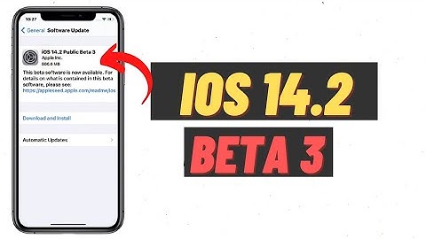 iOS 14.2 Beta 3 Released ( How To Install iOS 14.2 Developer Beta 3 On iPhone ) Latest 2020 )