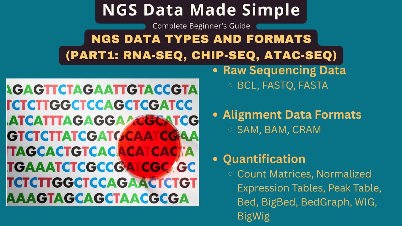 NGS File Formats DECODED: From Raw Reads to Analysis-Ready Data (Part 1 ...