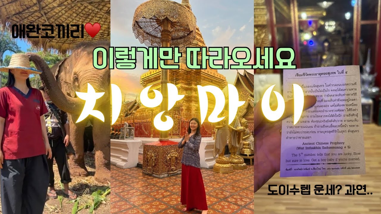 🇹🇭치앙마이vlog / 아침부터 저녁까지 꽉찬 하루💙 / 코끼리보호소, 와파랏, 도이수텝, 원님만까지🥸