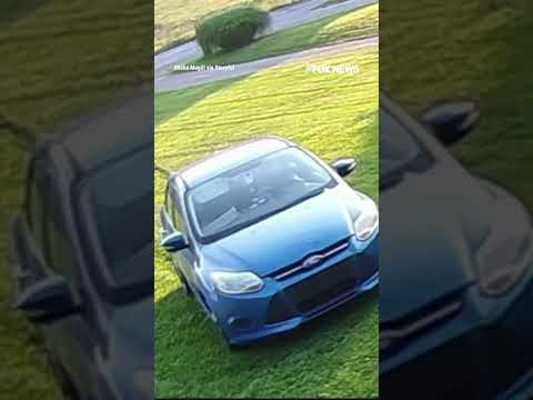 WATCH: Amazon driver skips the driveway and drives straight across freshly cut lawn