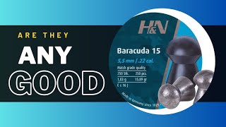 HONEST opinion on the H&N baracuda 15s #CP2 #chaser #H&N