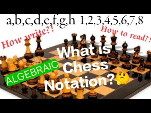 How to write Chess Notation | Understanding Chess Algebraic notation | Chess lessons for beginners