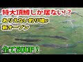 業界激震!特大頂鱒だらけの信じられない釣り場「あいづフィッシングエリア」誕生【管理釣り場・エリアトラウト・福島県・釣り堀】