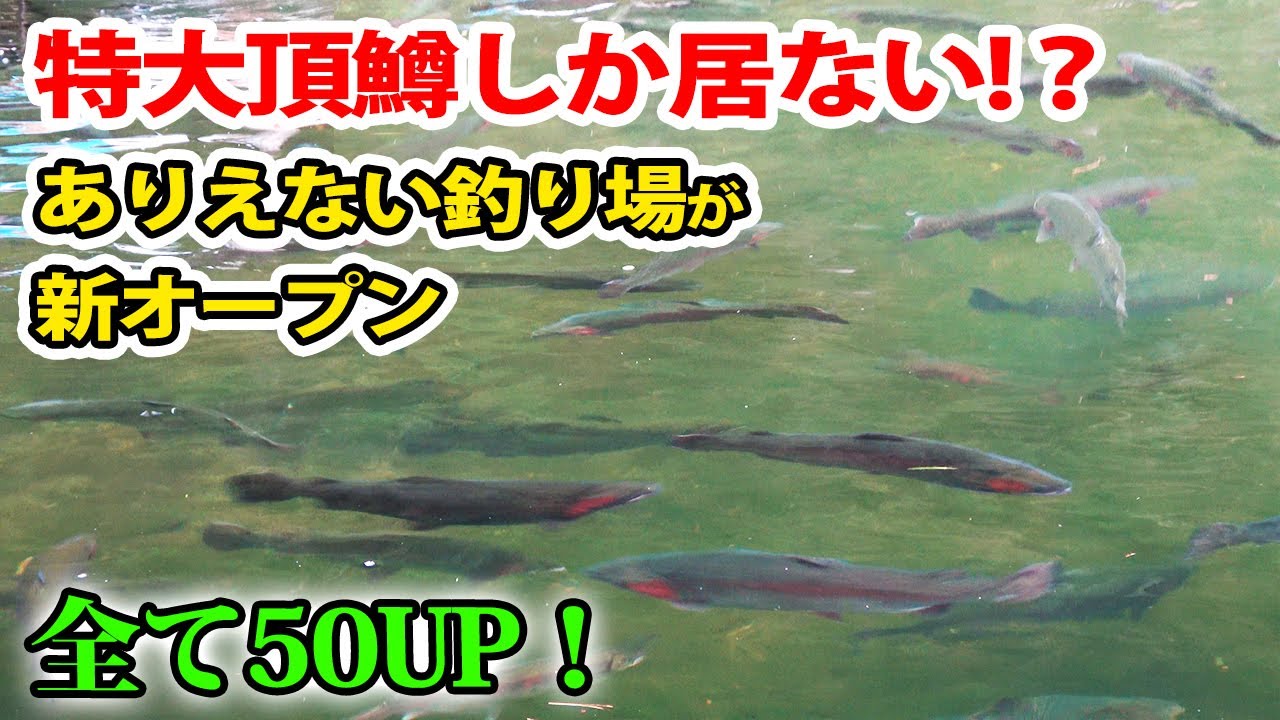 業界激震！特大頂鱒だらけの信じられない釣り場「あいづフィッシングエリア」誕生【管理釣り場・エリアトラウト・福島県・釣り堀】