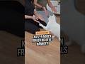 Katzen bevorzugen Frauen mehr als Männer?! Das steckt wirklich dahinter!